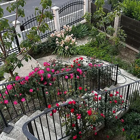Homestay szállás Casa Naty Vama Veche